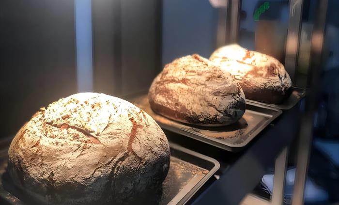 Maple oat bread fresh out of the oven